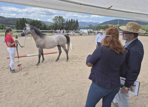 510462877_1248332963423322_6933980243438953167_n